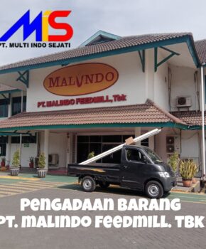 Picsart_25-06-03_11-59-13-205